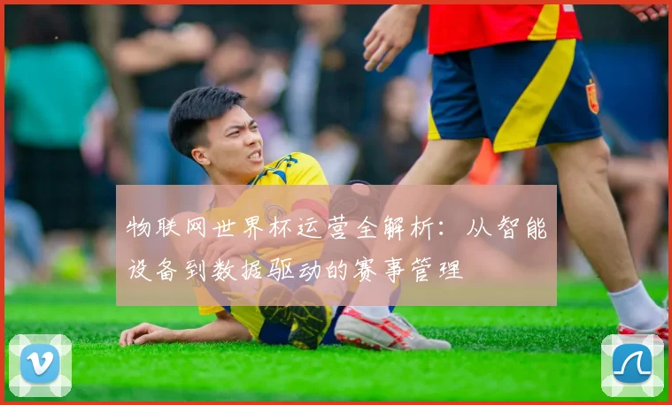 物联网世界杯运营全解析：从智能设备到数据驱动的赛事管理