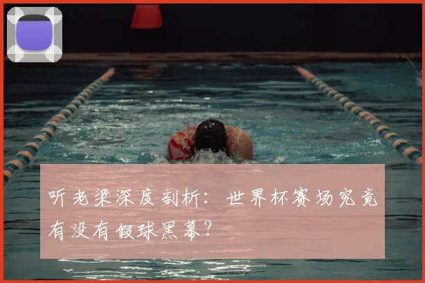 听老梁深度剖析：世界杯赛场究竟有没有假球黑幕？