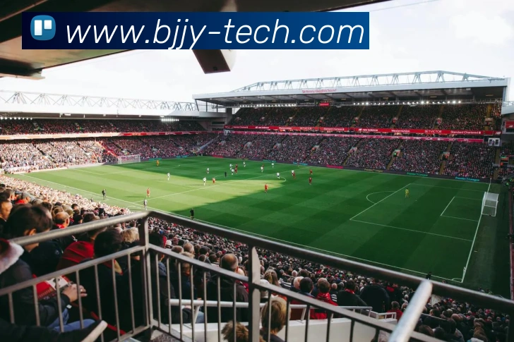 云开体app官网入口平台生态图